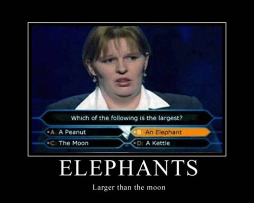 a person thought that an elephant was larger than the moon